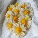 WhatsApp Image 2025-09-27 at 10.11.34 PM.webp