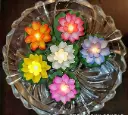 Floating Lotus LED Diya - Pack of 6 Diya