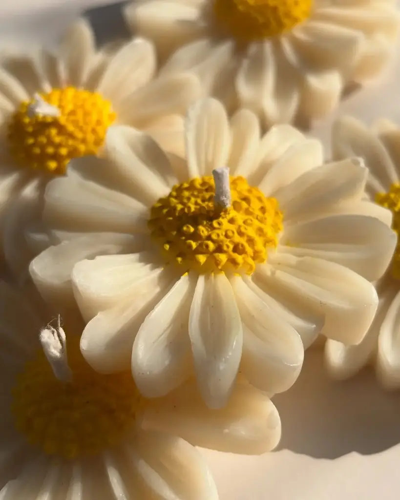 [FLC-DSY-P6-01] Daisy Floating Candles - Pack of 6 candles
